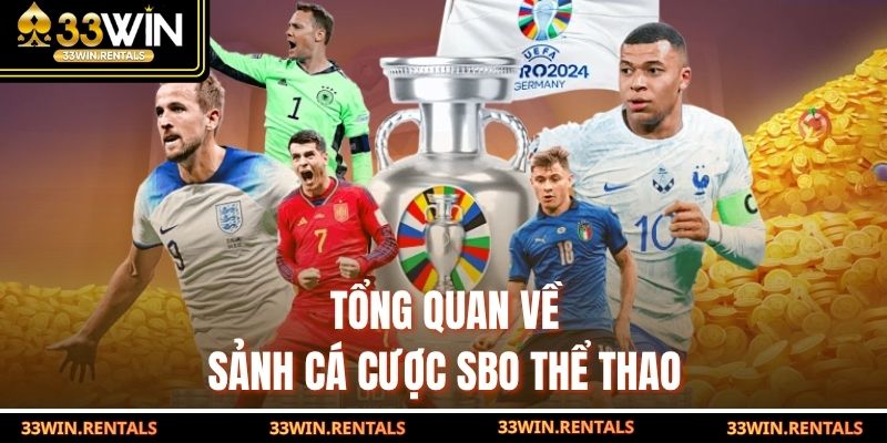 Tổng quan về sảnh cá cược SBO thể thao